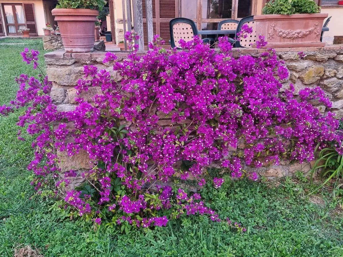 Vigna Lontana Villa Montescudaio