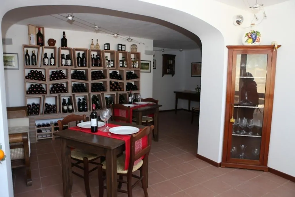 Vigna Lontana Villa Montescudaio