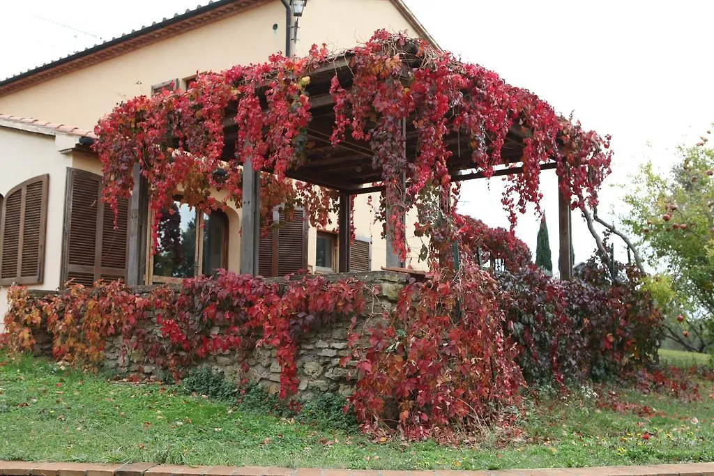 Farm stay Vigna Lontana Villa Montescudaio