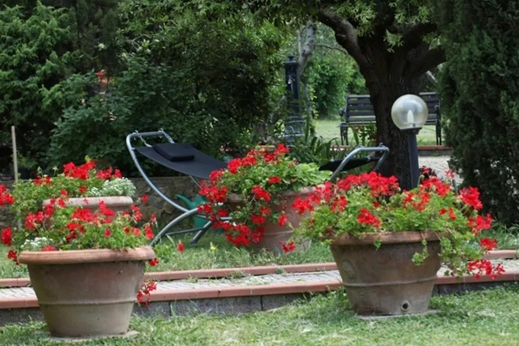 Vigna Lontana Villa Montescudaio