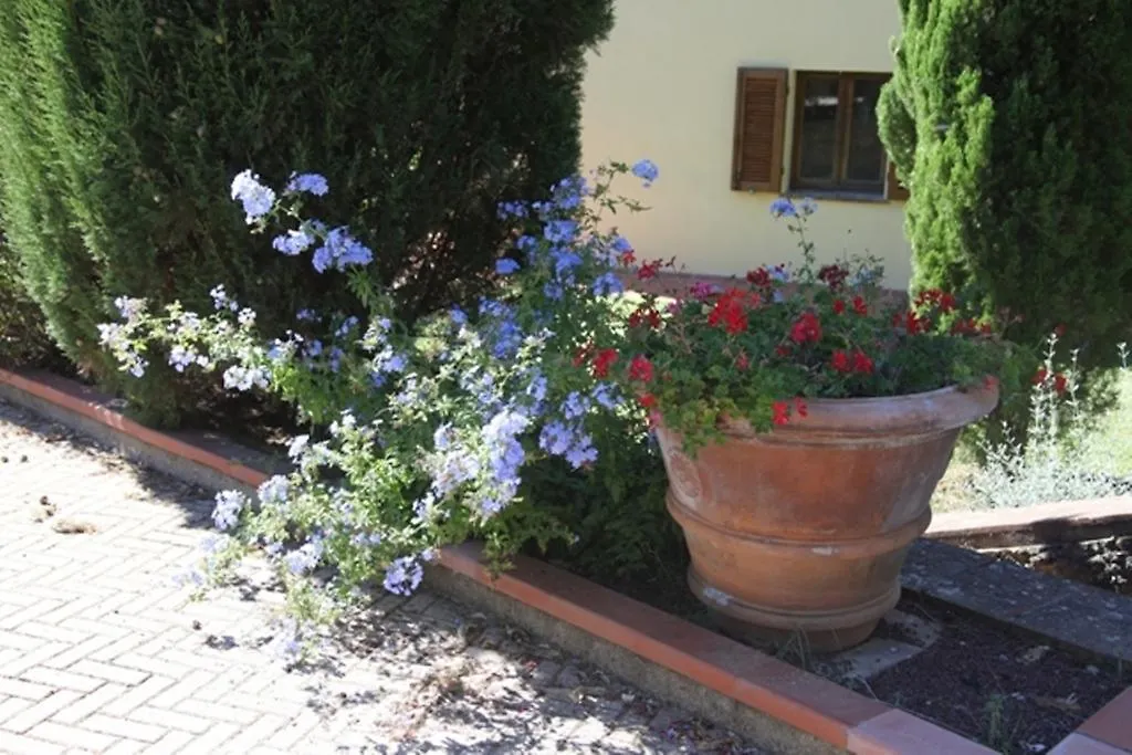 Vigna Lontana Villa Montescudaio