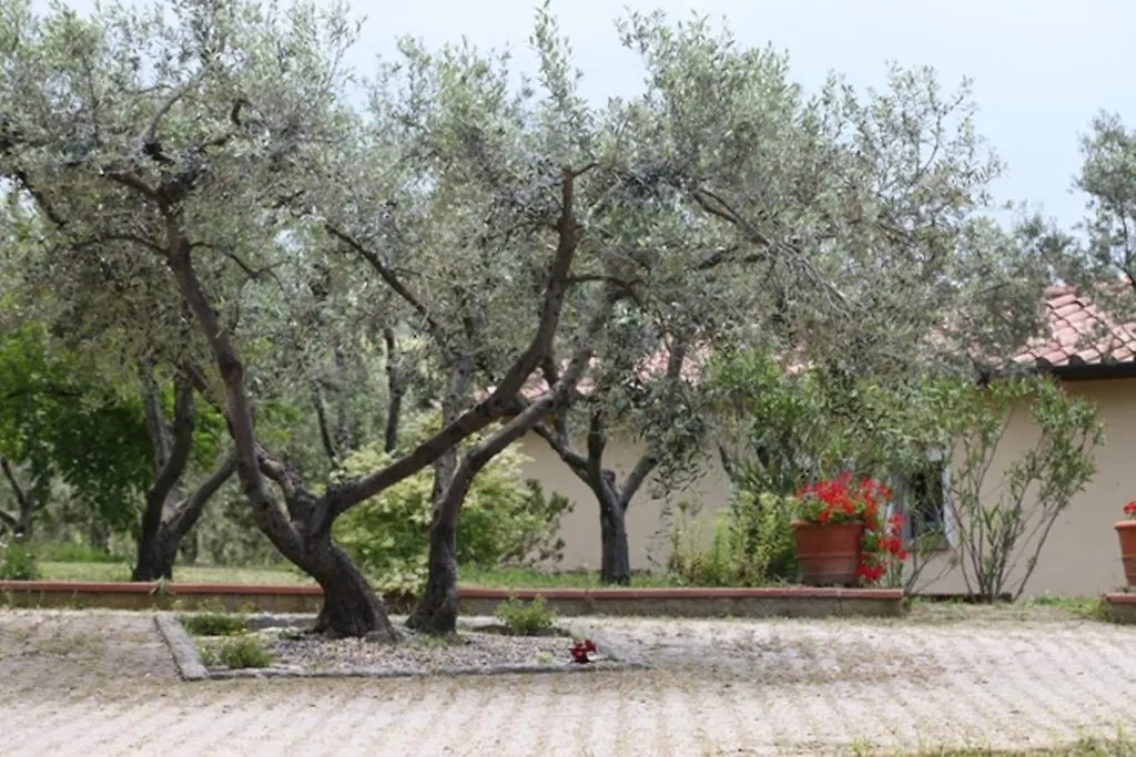 Farm stay Vigna Lontana Villa Montescudaio